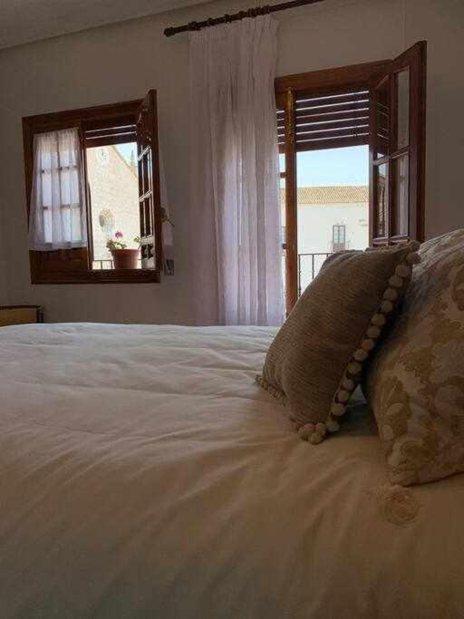 El Balcon De La Rosa Daire La Puebla de Montalbán Dış mekan fotoğraf